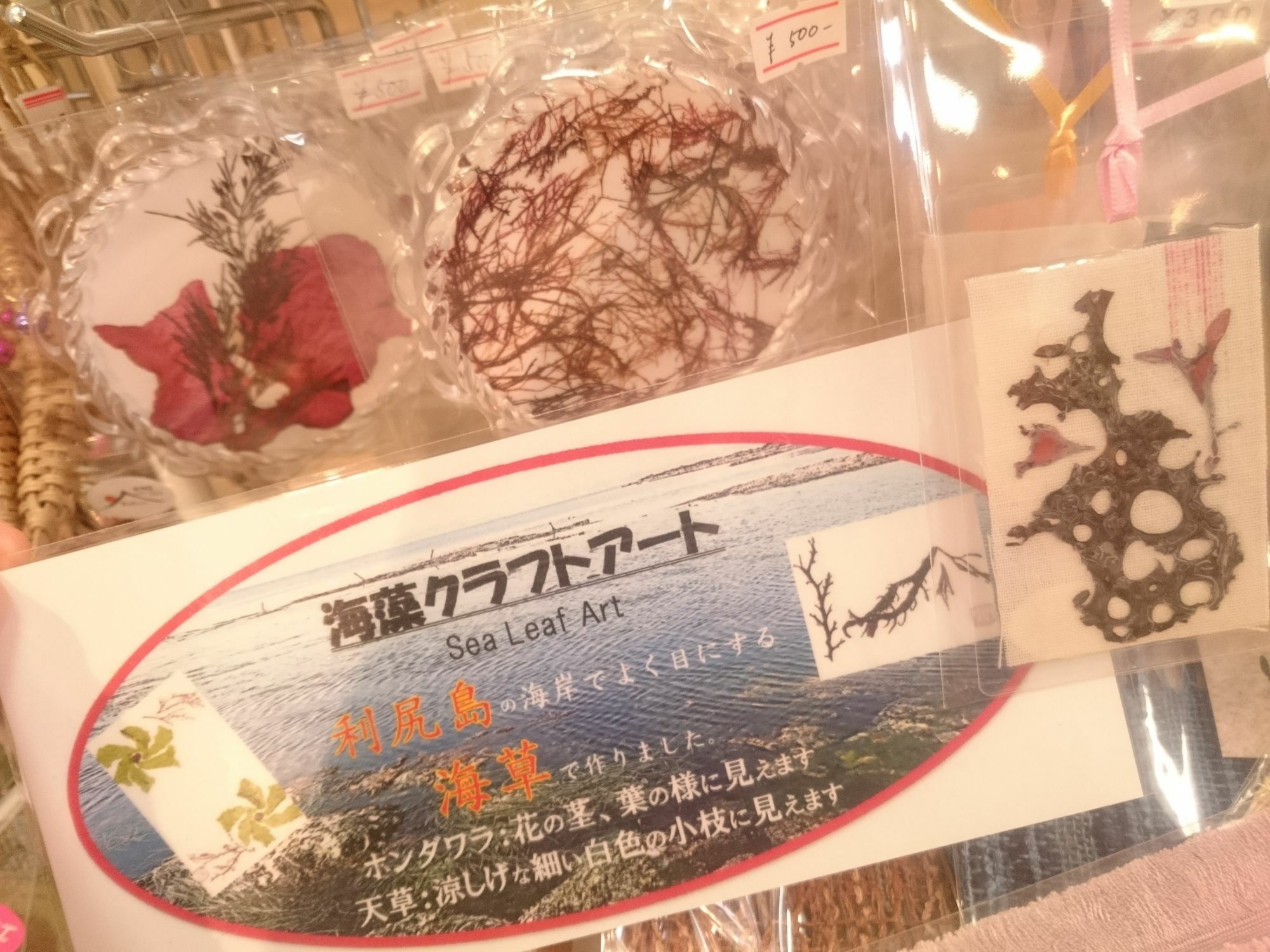 利尻富士观光酒店 Rishiri 外观 照片