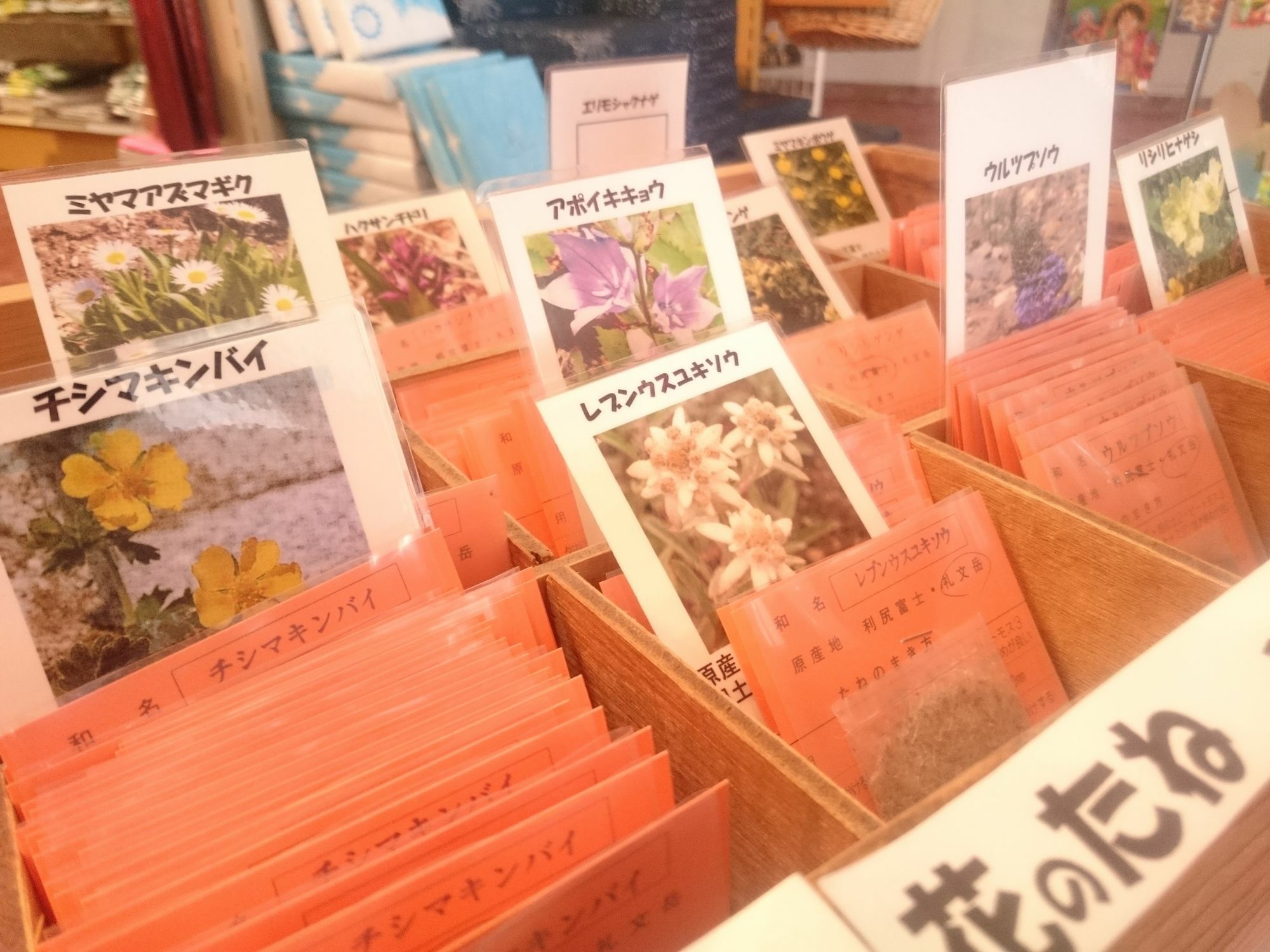 利尻富士观光酒店 Rishiri 外观 照片